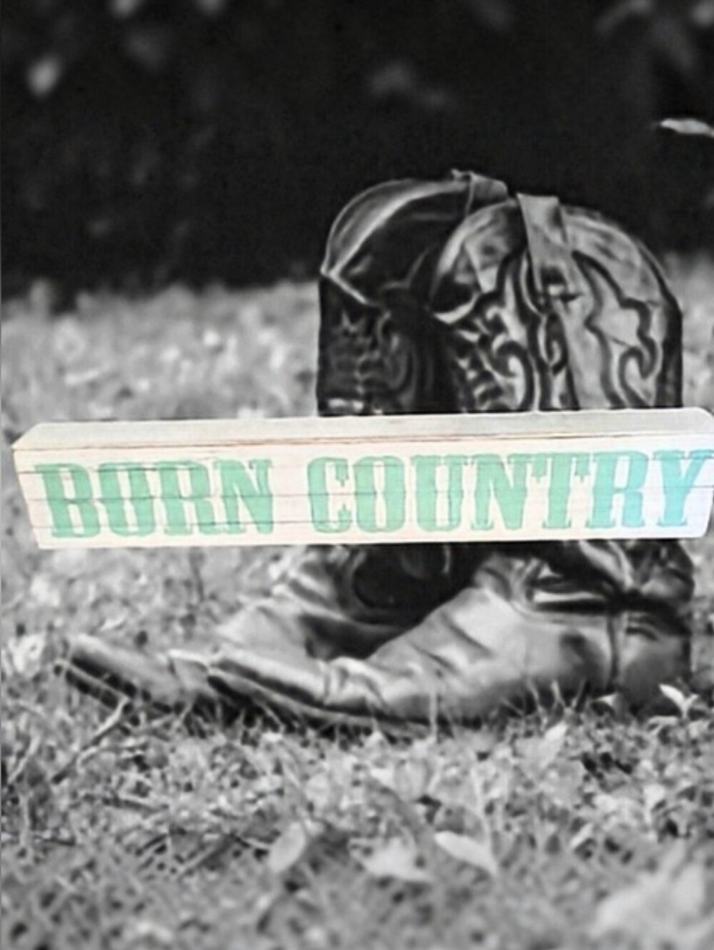 BORN COUNTRY Shelf Sitter. Aqua Blue/Green 8-1/2" x 1-1/2" x 1-1/2".